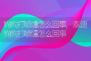 狗狗打喷嚏怎么回事，泰迪狗狗打喷嚏怎么回事