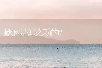 蟋蟀是怎么动的？