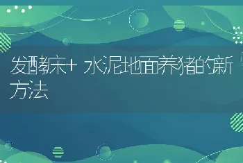 发酵床+水泥地面养猪的新方法