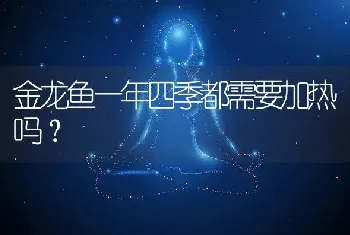 金龙鱼一年四季都需要加热吗？