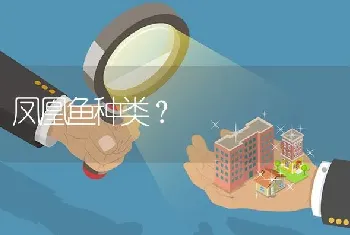 中国只有哪两种蝴蝶？