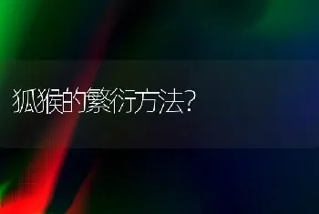 如何买狗？怎么买狗安全？怎么养狗？