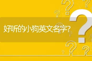 好听的小狗英文名字？