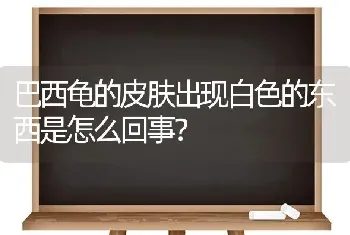 巴西龟的皮肤出现白色的东西是怎么回事？