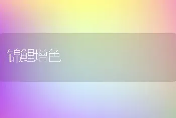 锦鲤增色