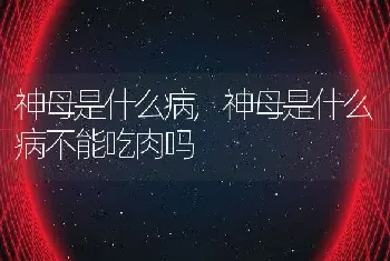 神母是什么病，神母是什么病不能吃肉吗