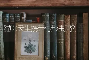 猫咪天生携带弓形虫吗？