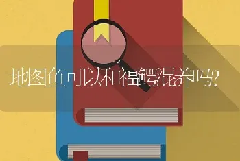 地图鱼可以和福鳄混养吗？