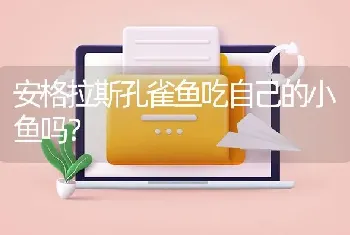 安格拉斯孔雀鱼吃自己的小鱼吗？