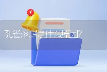 孔雀溶尾是什么原因？