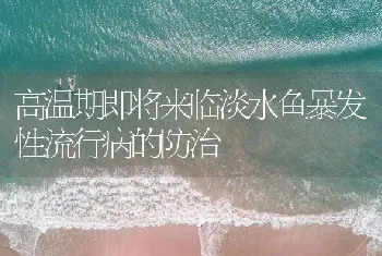 高温期即将来临淡水鱼暴发性流行病的防治