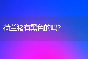 主角是圣伯纳犬的电视剧？