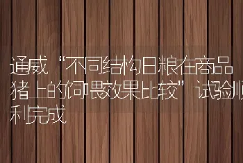 通威不同结构日粮在商品猪上的饲喂效果比较试验顺利完成