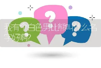 我有个白色男比熊叫什么名字好啊？