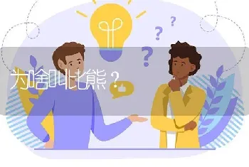 为啥叫比熊？