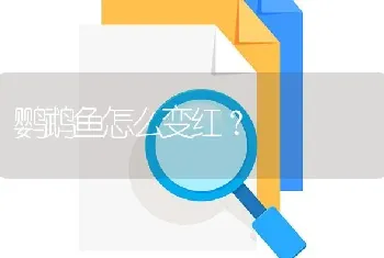 鹦鹉鱼怎么变红？