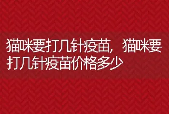 猫咪要打几针疫苗，猫咪要打几针疫苗价格多少