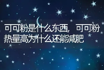 可可粉是什么东西，可可粉热量高为什么还能减肥