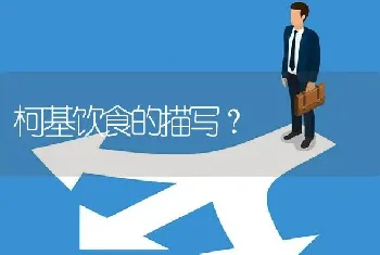 杰克罗素梗是哪个国家的？