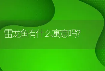 雷龙鱼有什么寓意吗？