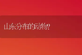 两三个月大的小猫换了新环境.拉稀还吐了.请问是什么？