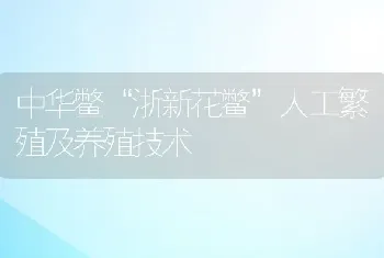 中华鳖“浙新花鳖”人工繁殖及养殖技术