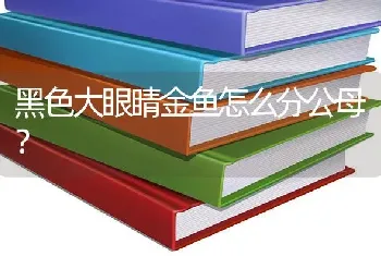 黑色大眼睛金鱼怎么分公母？