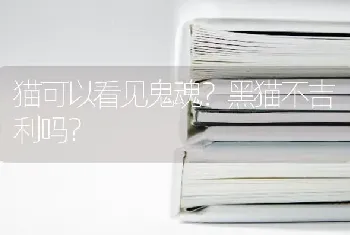 1500的布偶可以买吗？