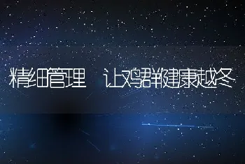 精细管理让鸡群健康越冬