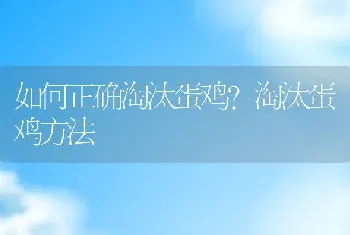 如何正确淘汰蛋鸡？淘汰蛋鸡方法