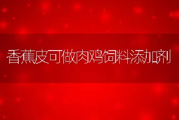 香蕉皮可做肉鸡饲料添加剂