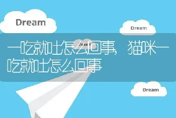 一吃就吐怎么回事，猫咪一吃就吐怎么回事