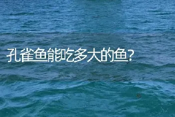 孔雀鱼能吃多大的鱼？