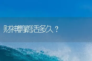 财神鹦鹉活多久？