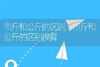 尿血吃什么药最好，公猫尿血吃什么药最好