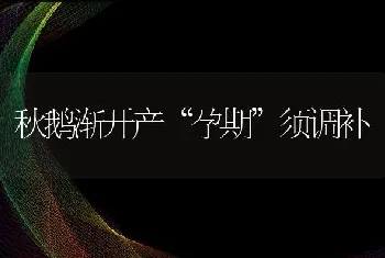 几种抗寒饲料助畜禽顺利越冬