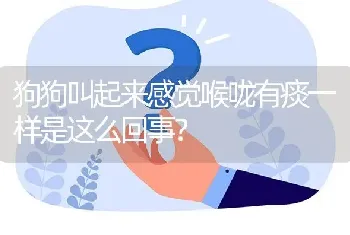 狗狗叫起来感觉喉咙有痰一样是这么回事？