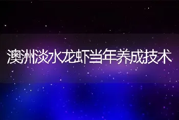 澳洲淡水龙虾当年养成技术