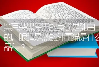 黑耳朵黑尾巴的身子是乳白的，眼睛是蓝的外国猫是什么品种？