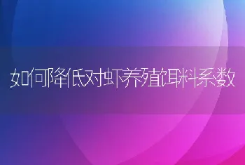 如何降低对虾养殖饵料系数