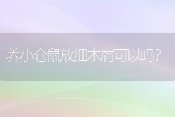 三种乌龟混养最好？