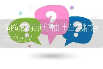 狗狗糖尿病总抽吐白色粘液怎么办？