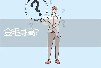 金毛身高？