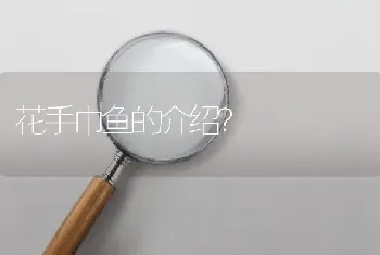 花手巾鱼的介绍？