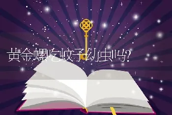 黄金螺吃蚊子幼虫吗？