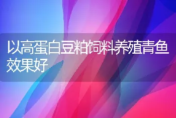 以高蛋白豆粕饲料养殖青鱼效果好