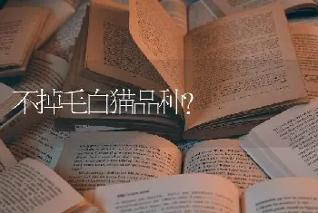 不掉毛白猫品种？