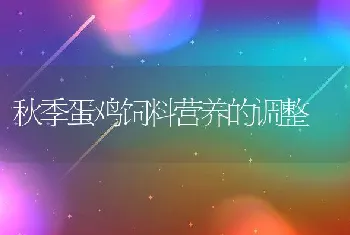 秋季蛋鸡饲料营养的调整