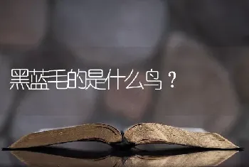 黑蓝毛的是什么鸟？