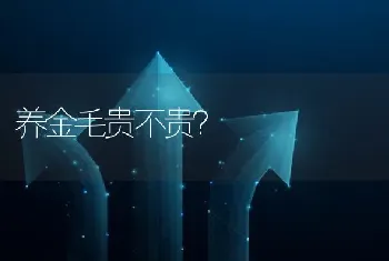 养金毛贵不贵？